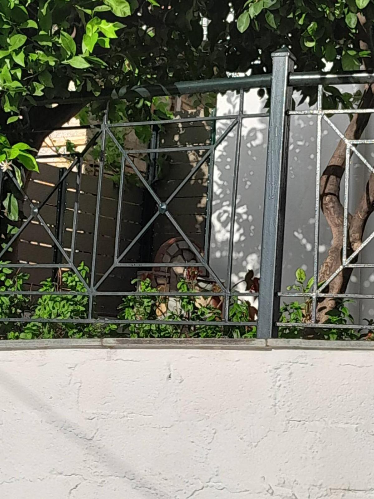 Πηλιο- Το Εξοχικο Τησ Αννασ- Αφησσοσ Villa Áfissos Eksteriør bilde